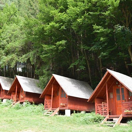 Cabanute Si Camping Dracula Capatineni-Paminteni ภายนอก รูปภาพ
