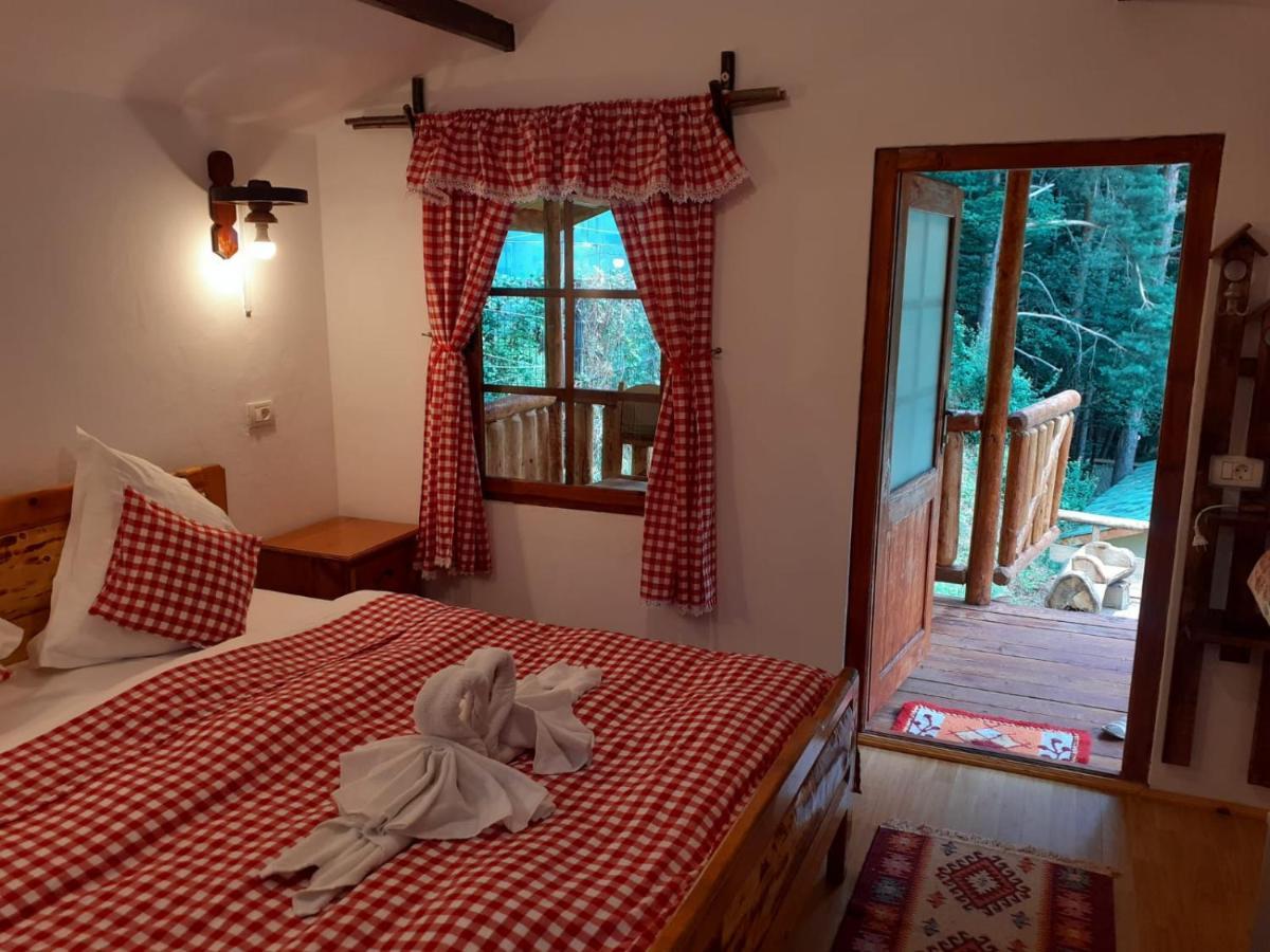 Cabanute Si Camping Dracula Capatineni-Paminteni ภายนอก รูปภาพ