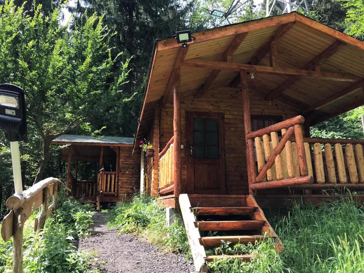 Cabanute Si Camping Dracula Capatineni-Paminteni ภายนอก รูปภาพ