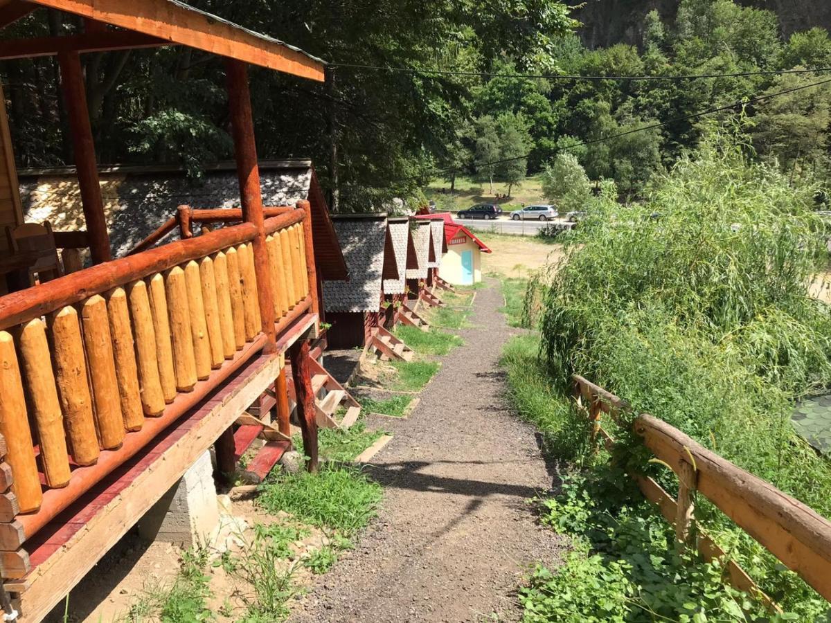 Cabanute Si Camping Dracula Capatineni-Paminteni ภายนอก รูปภาพ