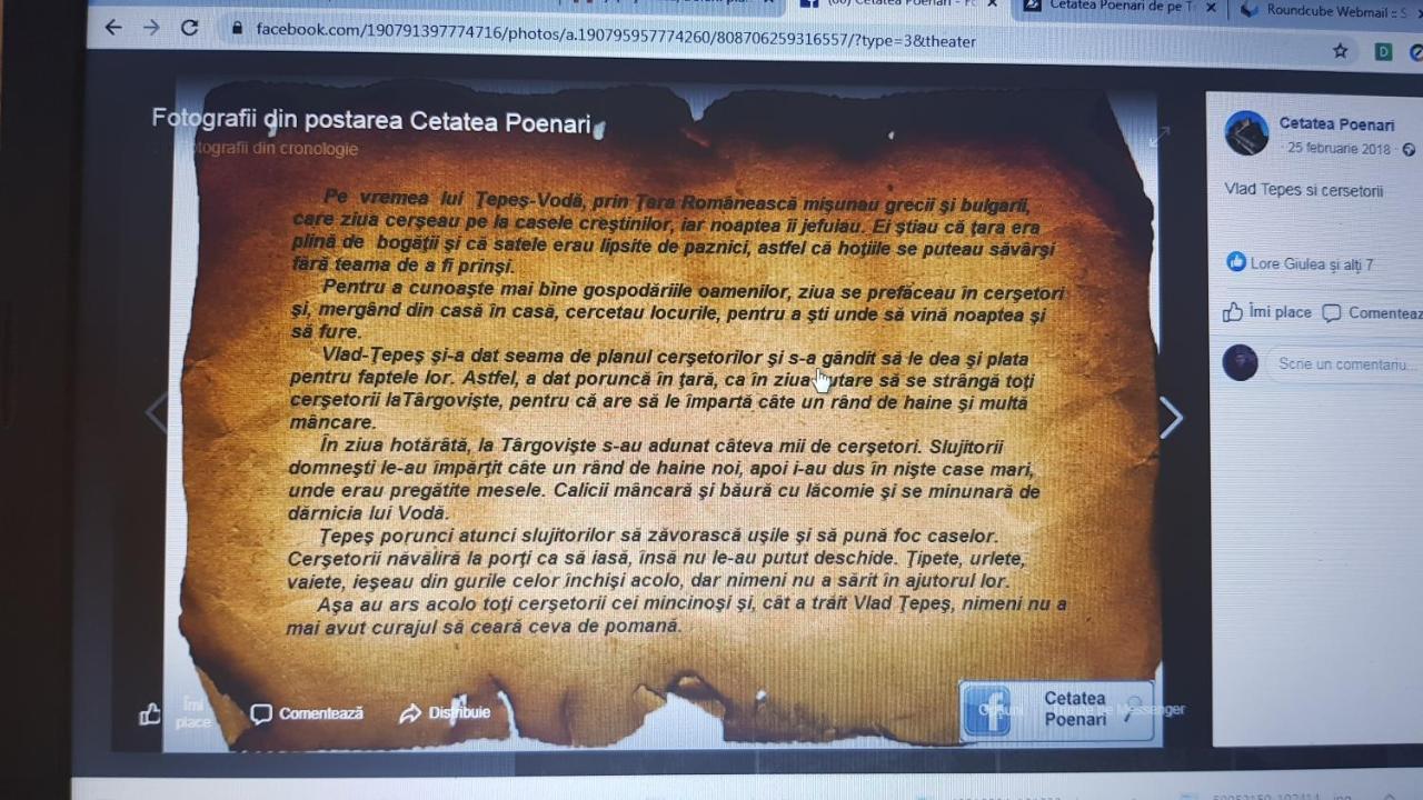 Cabanute Si Camping Dracula Capatineni-Paminteni ภายนอก รูปภาพ