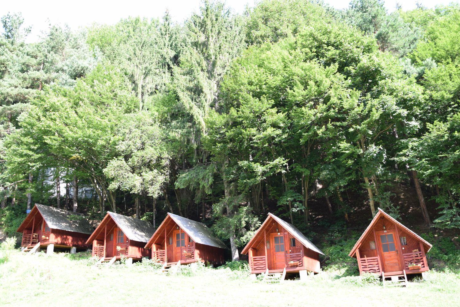 Cabanute Si Camping Dracula Capatineni-Paminteni ภายนอก รูปภาพ