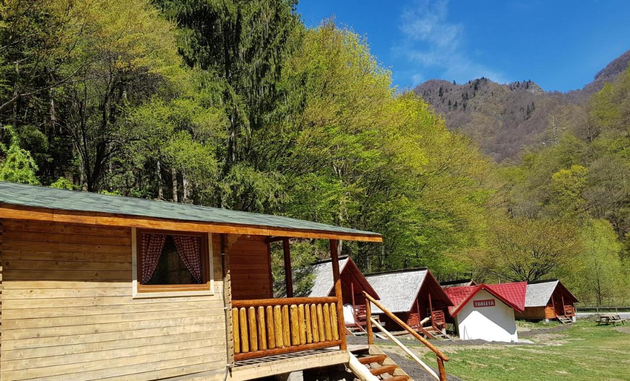 Cabanute Si Camping Dracula Capatineni-Paminteni ภายนอก รูปภาพ